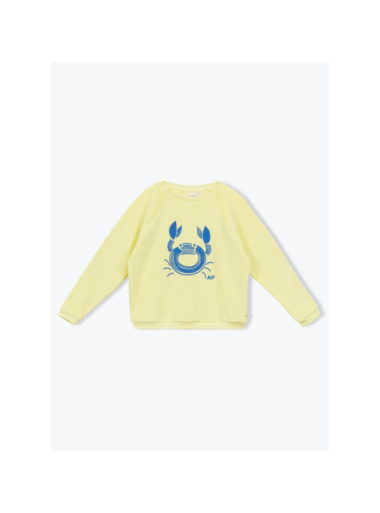 sweat-eponge-crabe.webp