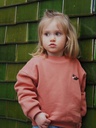 Ridges & Steam - Take me to the sea (Lion) - Kids sweater red