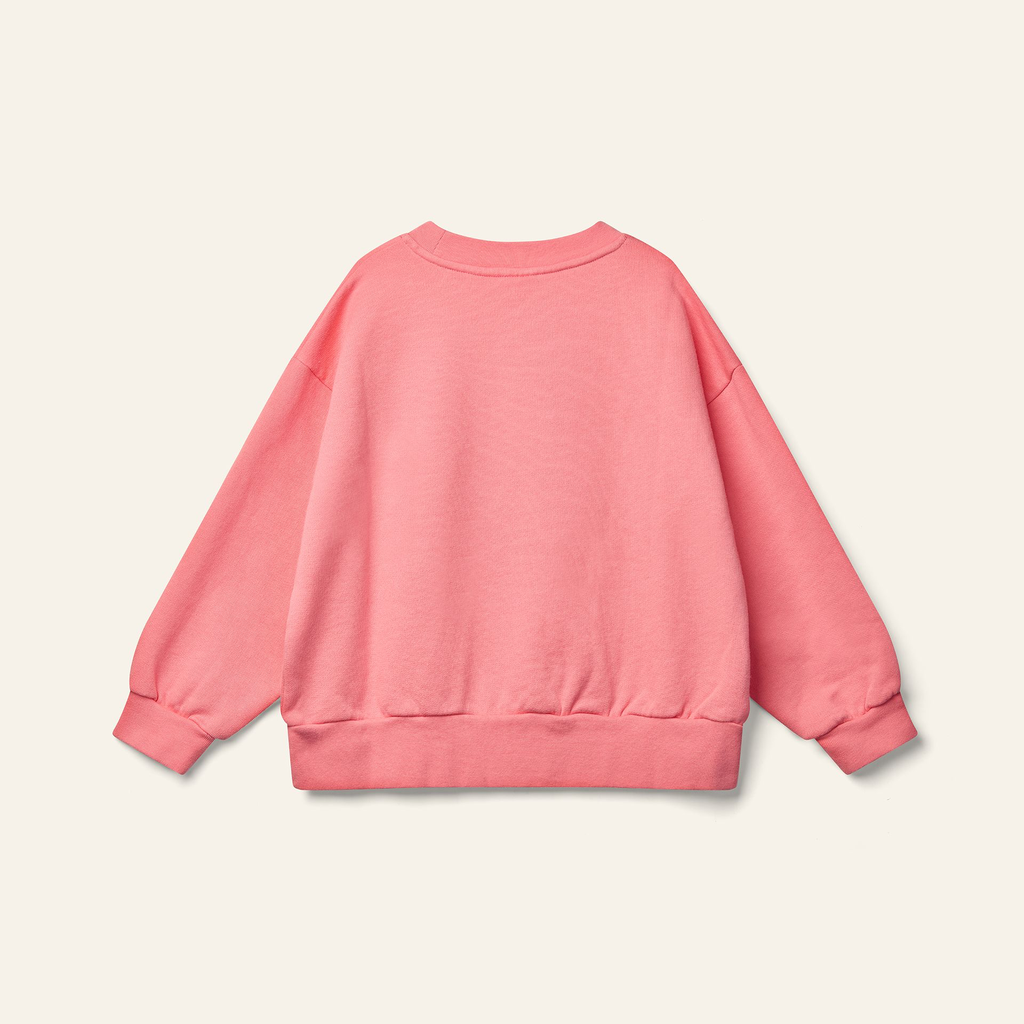 WK19J21 BRAVO SWEAT BLUSH PINK _1 copy.webp