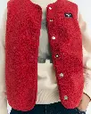 Red Jay vest3.webp