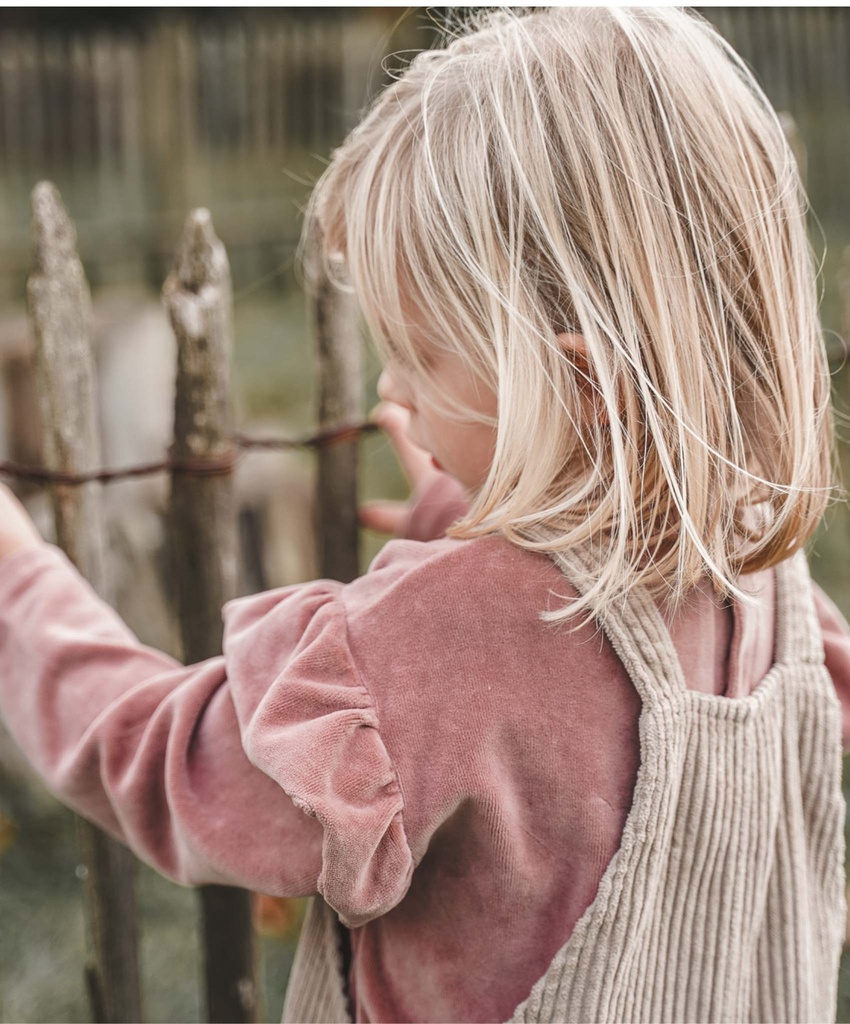 Hoop Kidswear - The frill velvet sweatshirt - Rose wood
