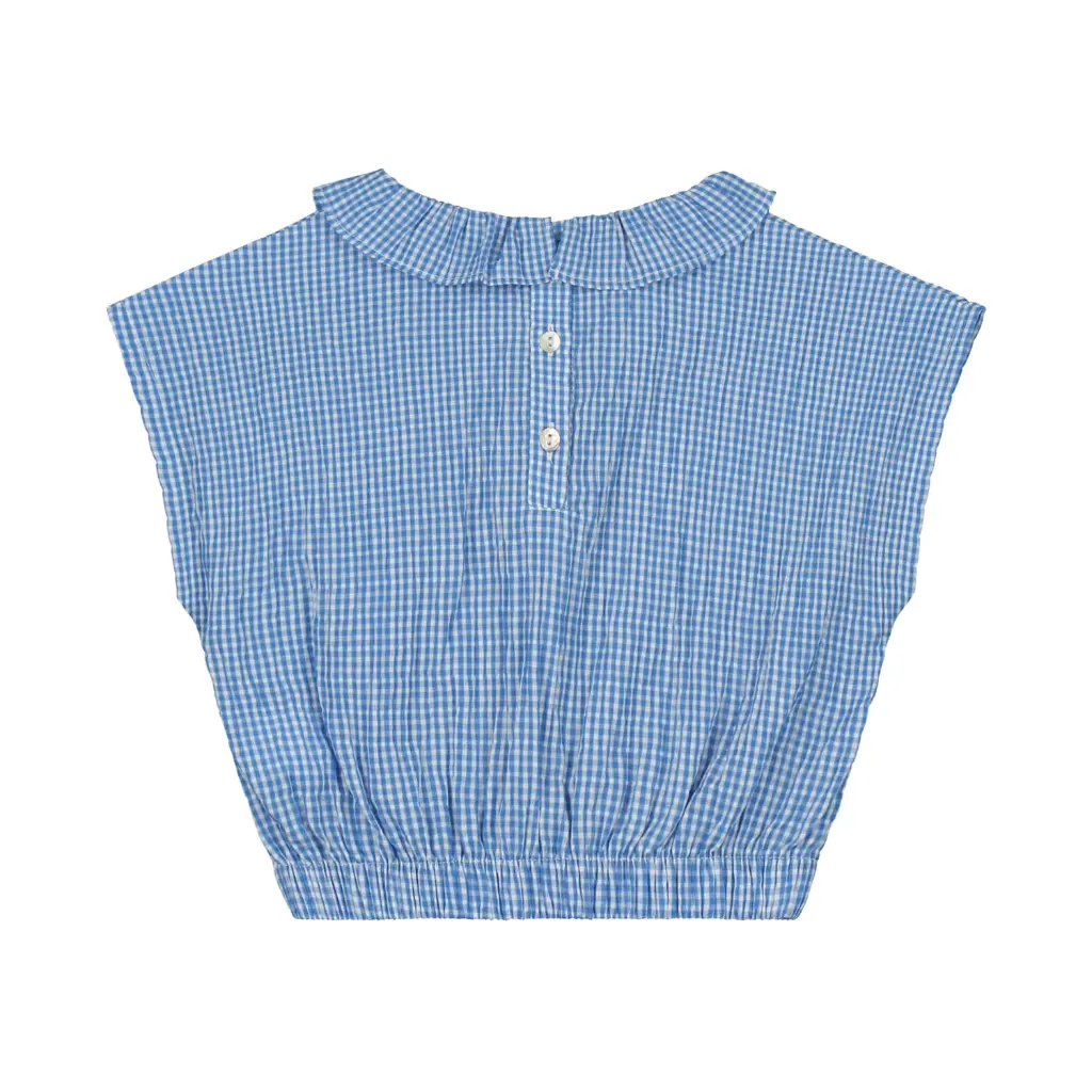 PAIGE BLOUSE-Blue-White Check_Back.webp
