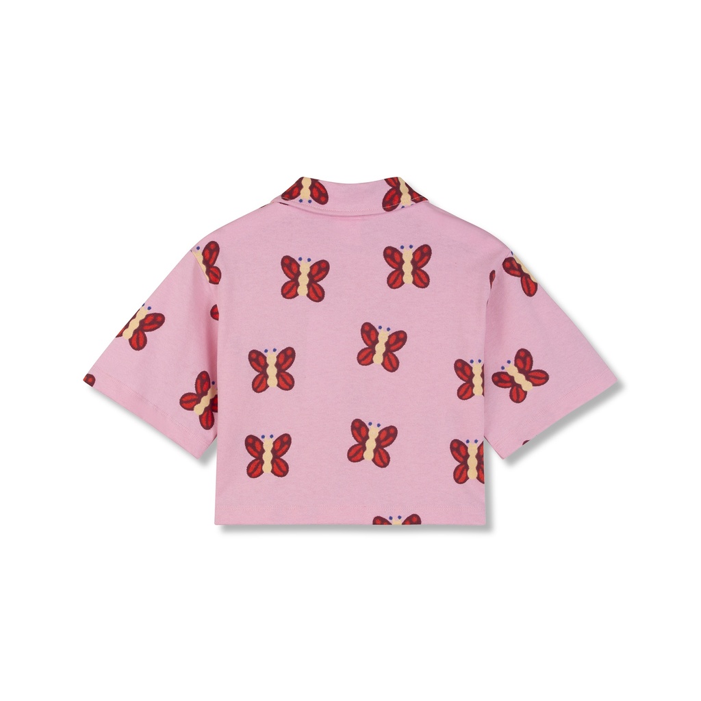 CANDYBUTTERFLY - Image 2