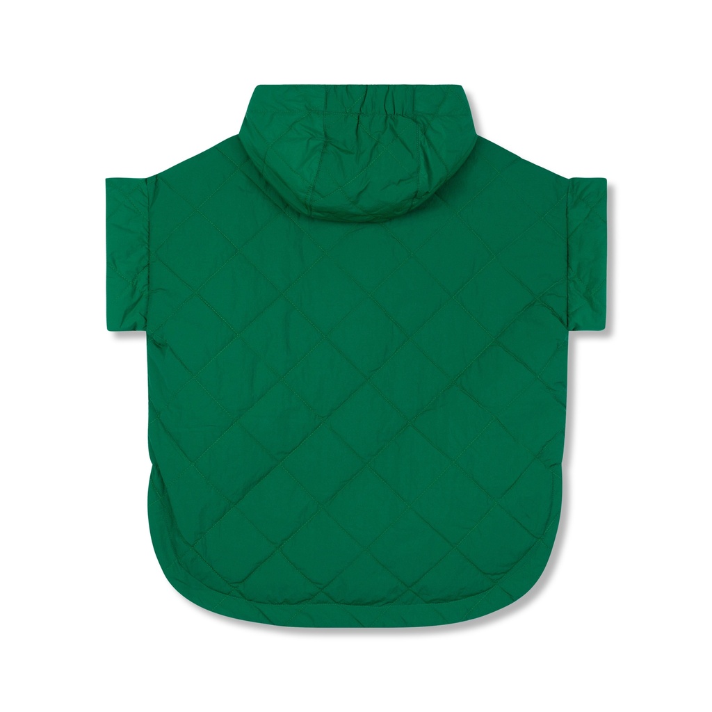 PYTHONGREEN - Image 2