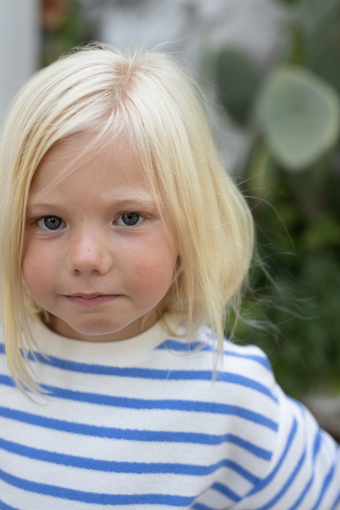 ultramarine - Image 6