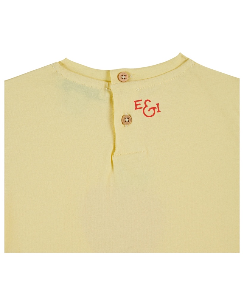 AD015 - MIMOSA - Product 4