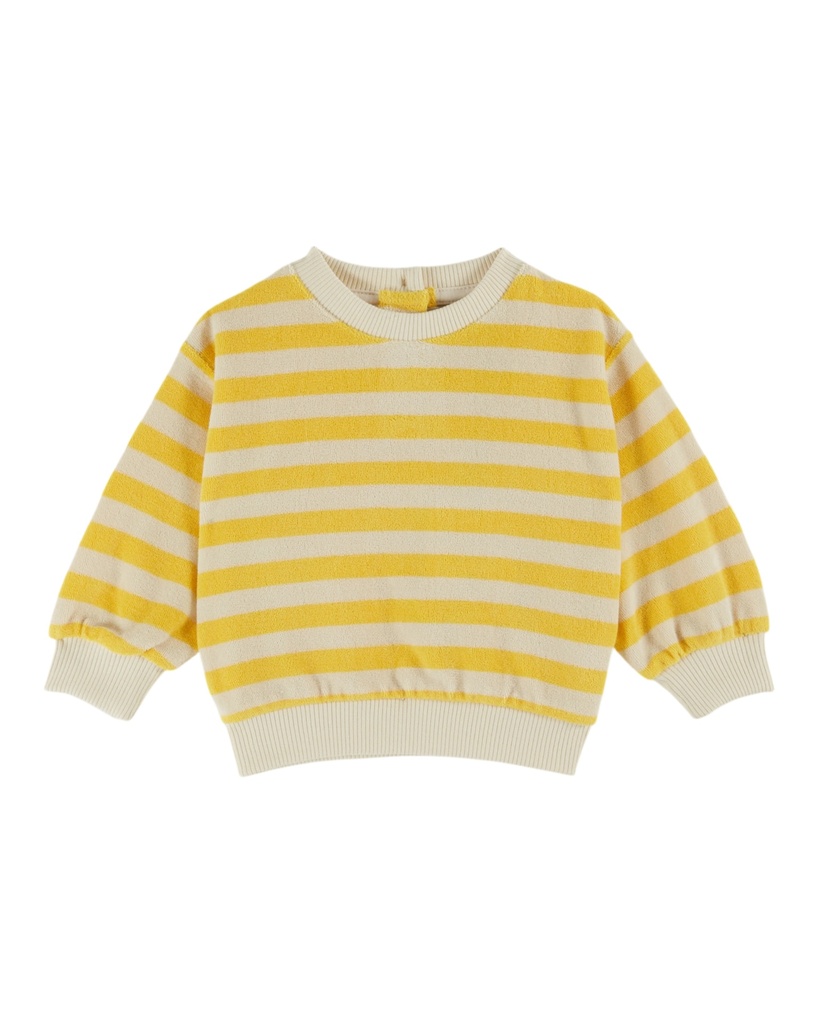 AD131 - RAYURE MIMOSA - Product 2