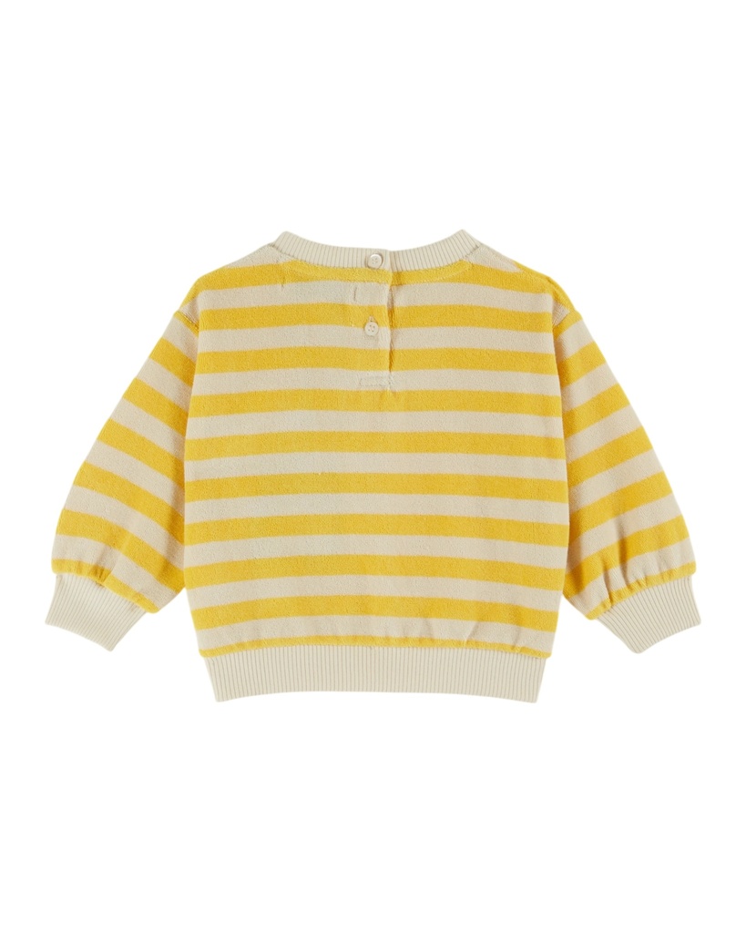 AD131 - RAYURE MIMOSA - Product 3