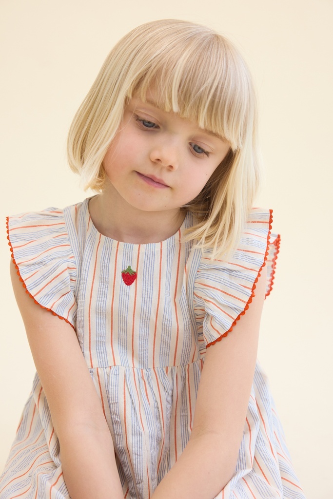 Blue-tangerine Stripe - Image 1