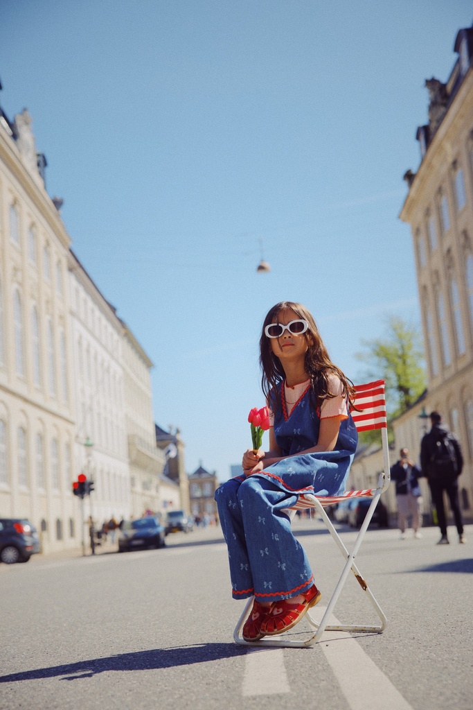 Denim Blue Bow - Image 2