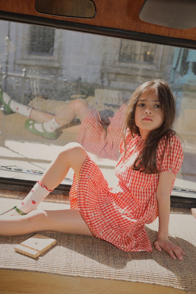 Red-pink Berry Gingham - Image 1