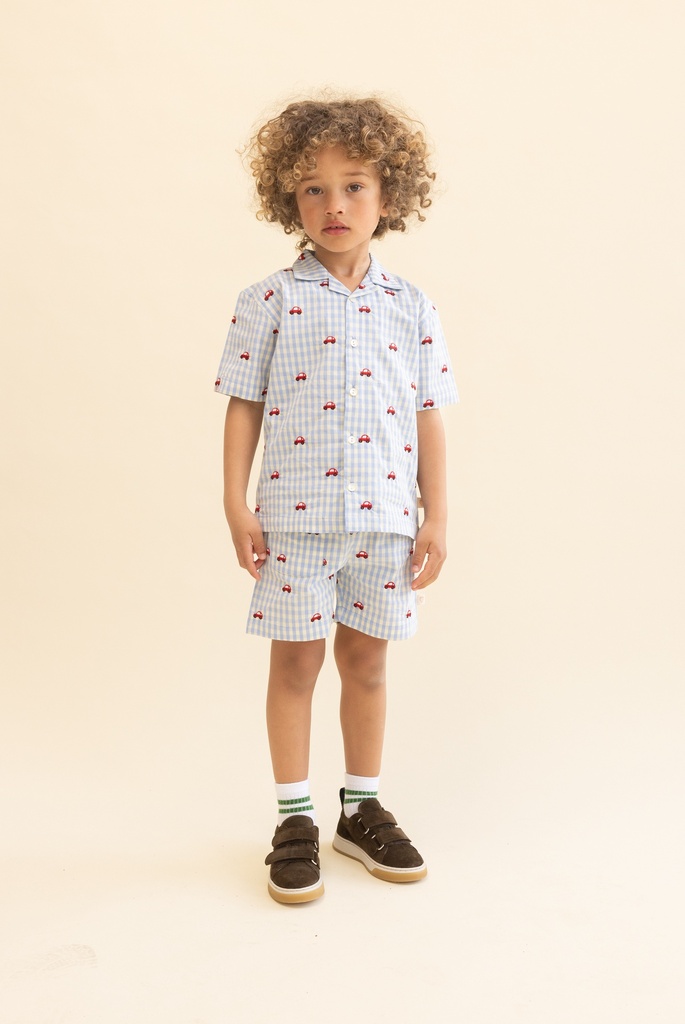Blue Gingham - Image 1