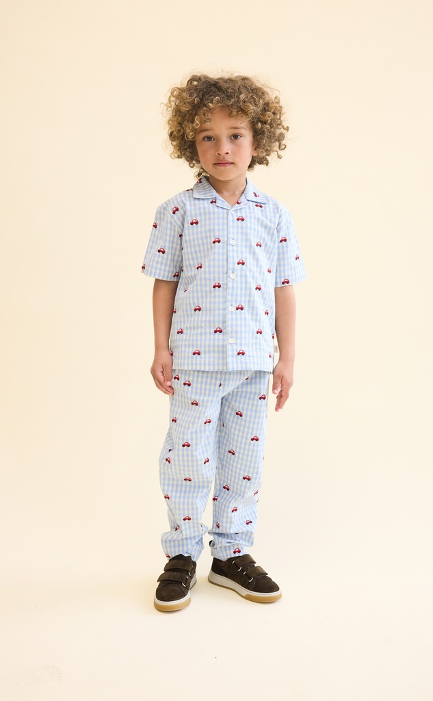 Blue Gingham - Image 2