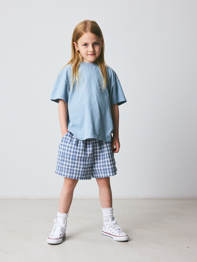 9011-Dusty Blue Check - Image 1