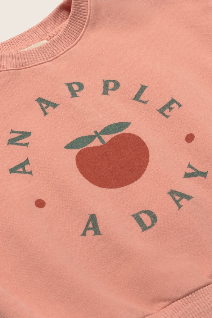 LIANA234s6_rose-soft fleece_2.jpg