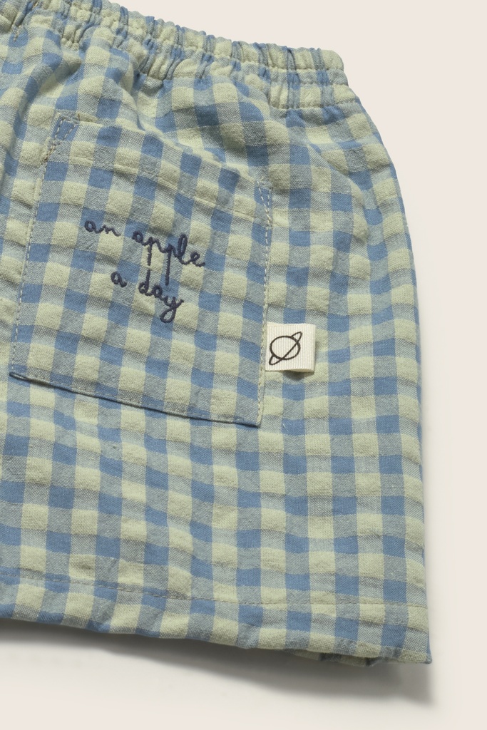 KANYE233s6_blue-gingham cotton_3.jpg