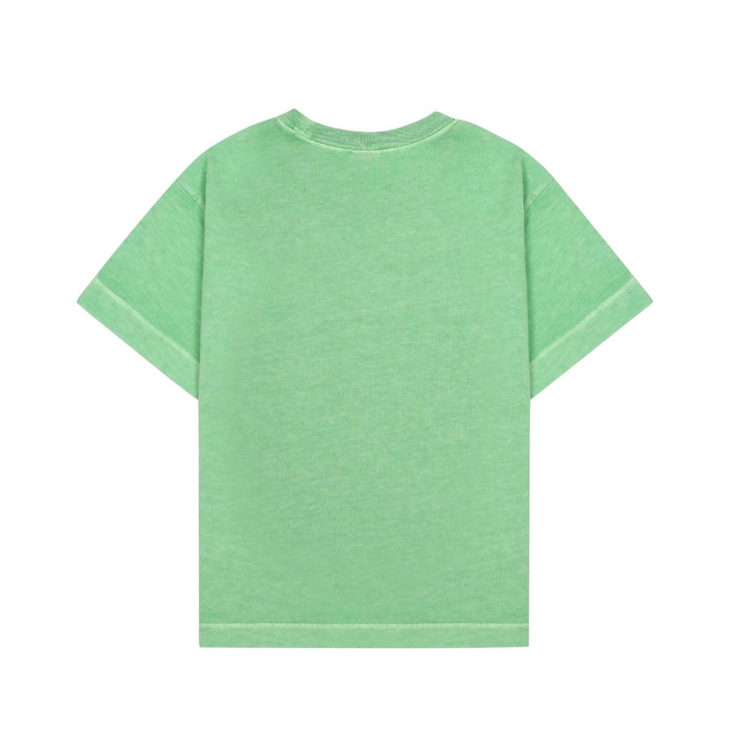 Vorige hoofdafbeelding