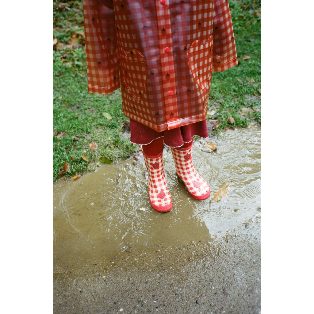 Iris Raincoat Berry Gingham 4.png