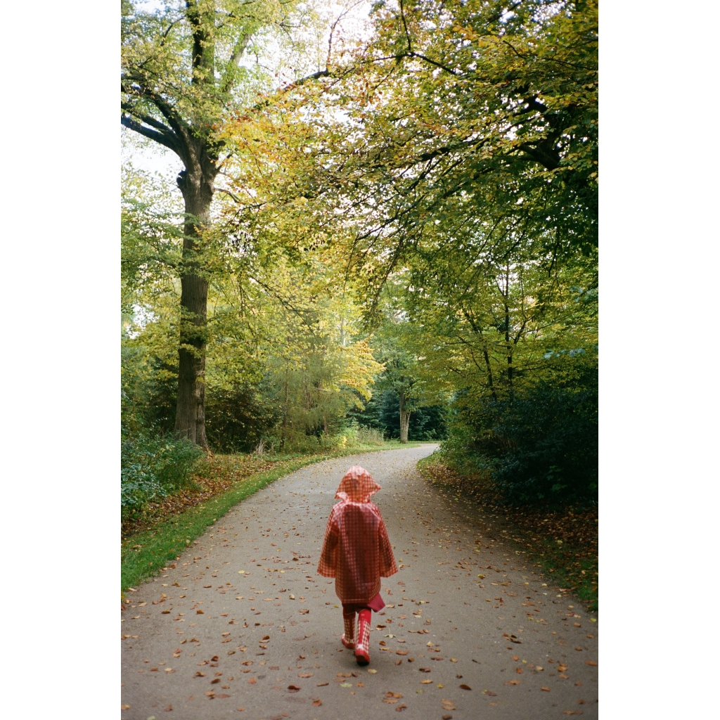 Iris Raincoat Berry Gingham 3.png