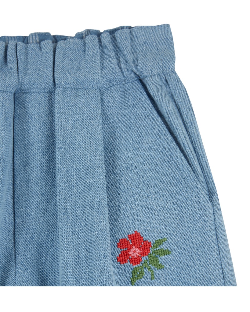 AE091-bleu-delave-02.jpg