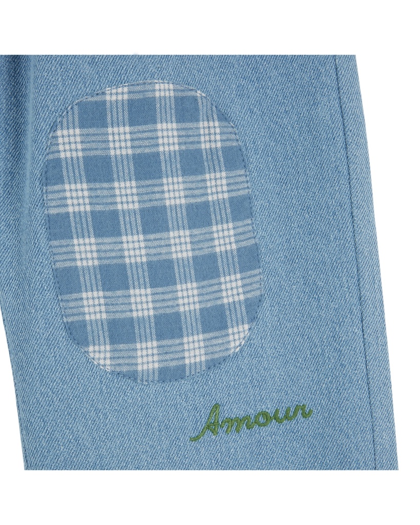 AE091-bleu-delave-03.jpg