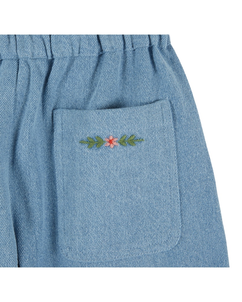 AE091-bleu-delave-05.jpg