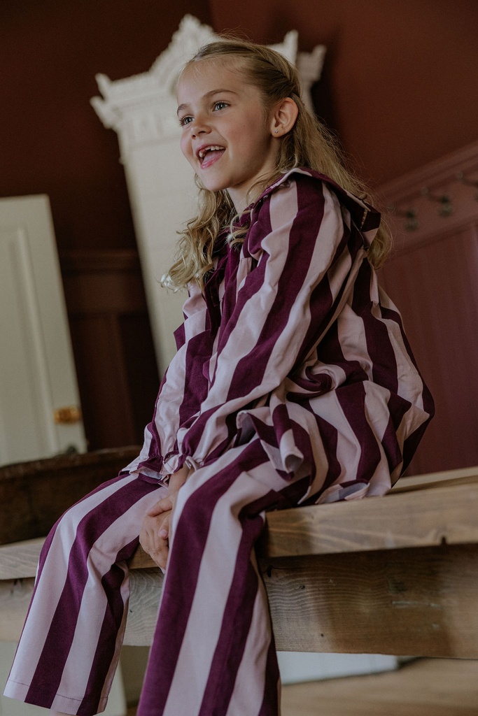 F2095 - DOLLY STRIPE PANT - SMOKE ROSE-BURGUNDY STRIPE - Extra 3.jpg