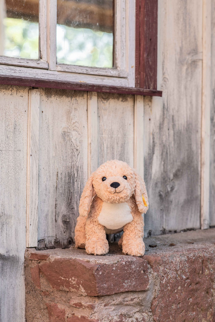 soft-cuddly-friends-berno-goldendoodle-067075-32.webp