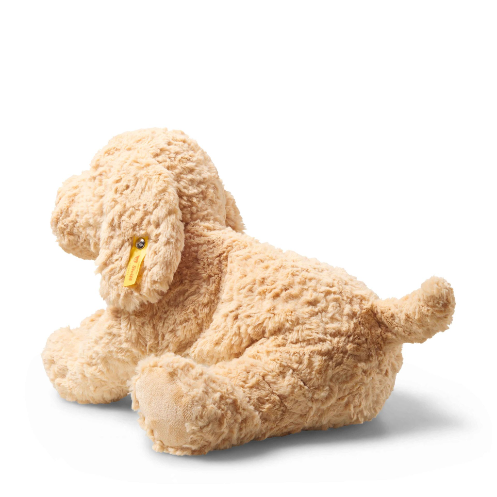 berno-goldendoodle-067075-1.webp