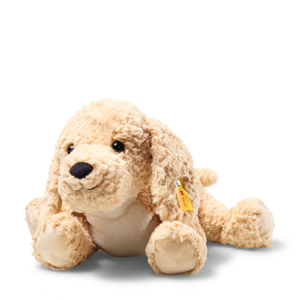 berno-goldendoodle-067075-3.webp