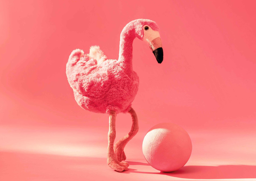 jill-flamingo-063992-1.webp