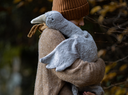 Senger Naturwelt - Large cuddly animal goose - Grey