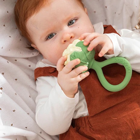 Oli&Carol - Cauliflower Rattle Toy