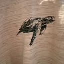 EN FANT - T-shirt SS Club - Turtle - Cement