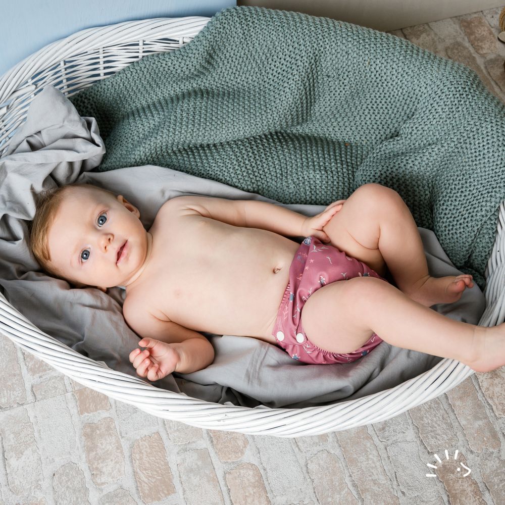 Popolini - Swim nappy - Turtle Mauve 
