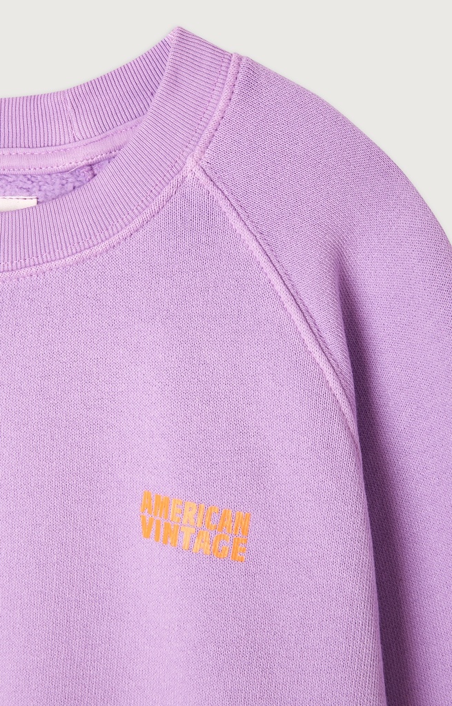 American Vintage - Izubird sweater