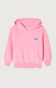 American Vintage - Izubird sweater met kap