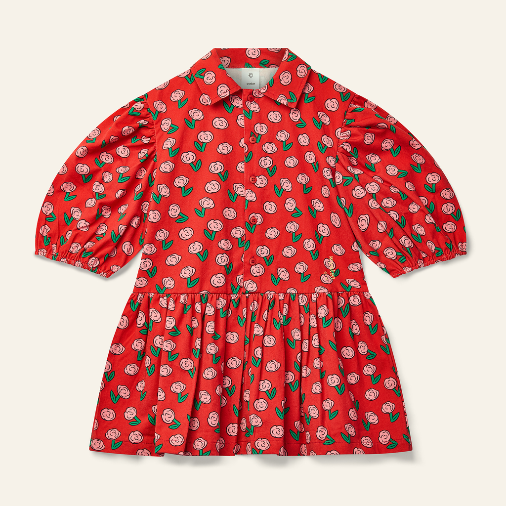 Wynken - Beau collar dress