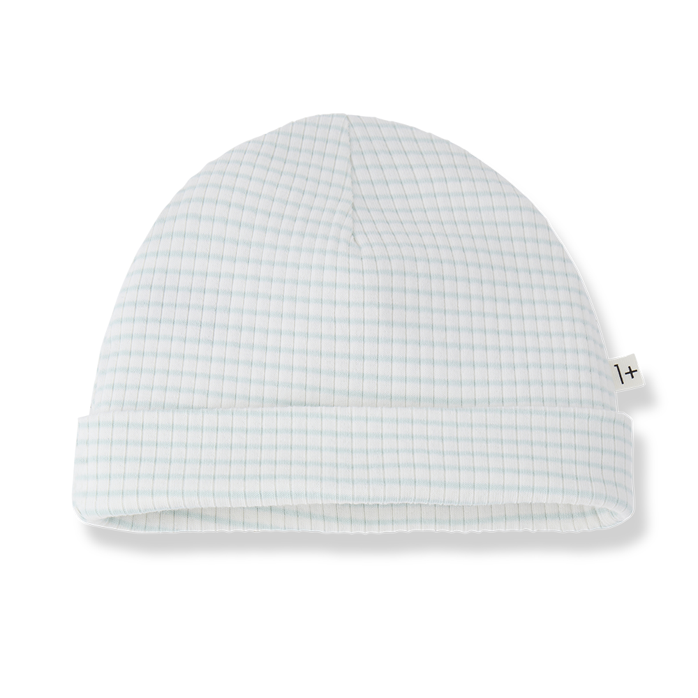 1+ in the family - Beanie - Green (T1)