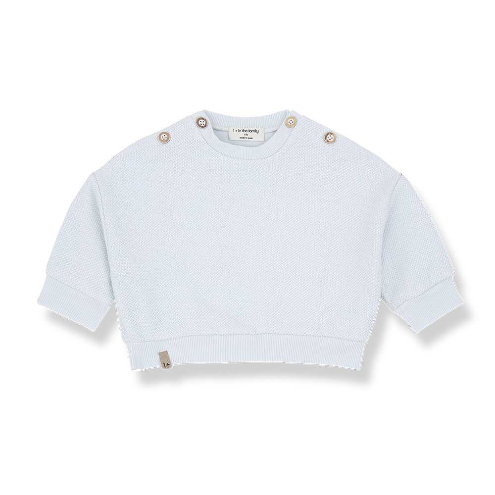 1+ in the family - Sweater - Misty-blue (3 maand)