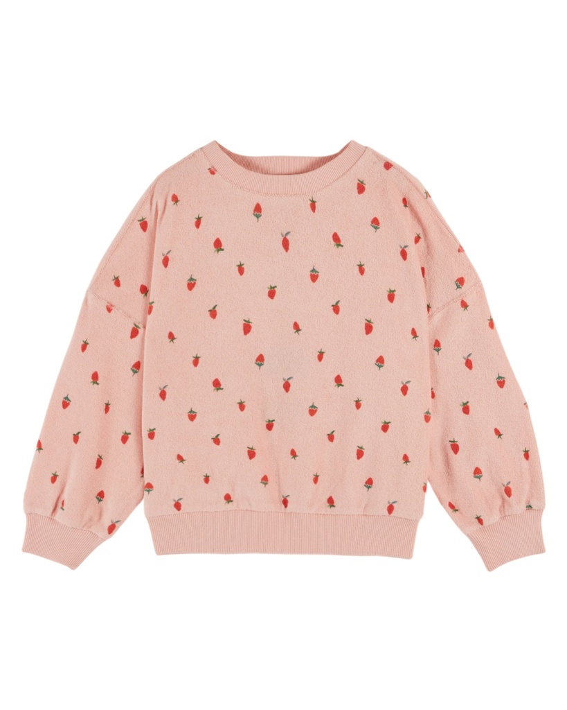 Emile & Ida - Sweat shirt eponge  imprime ao - Guariguette (ad213) (12 maand)