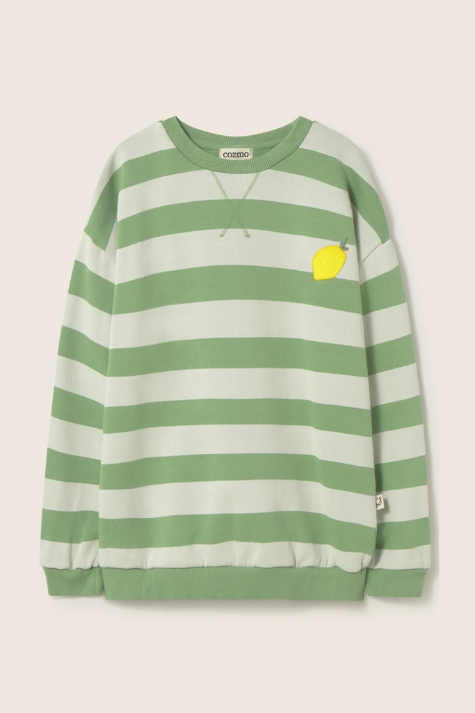 Cozmo - striped cotton fleece sweatshirt - green (2 jaar)