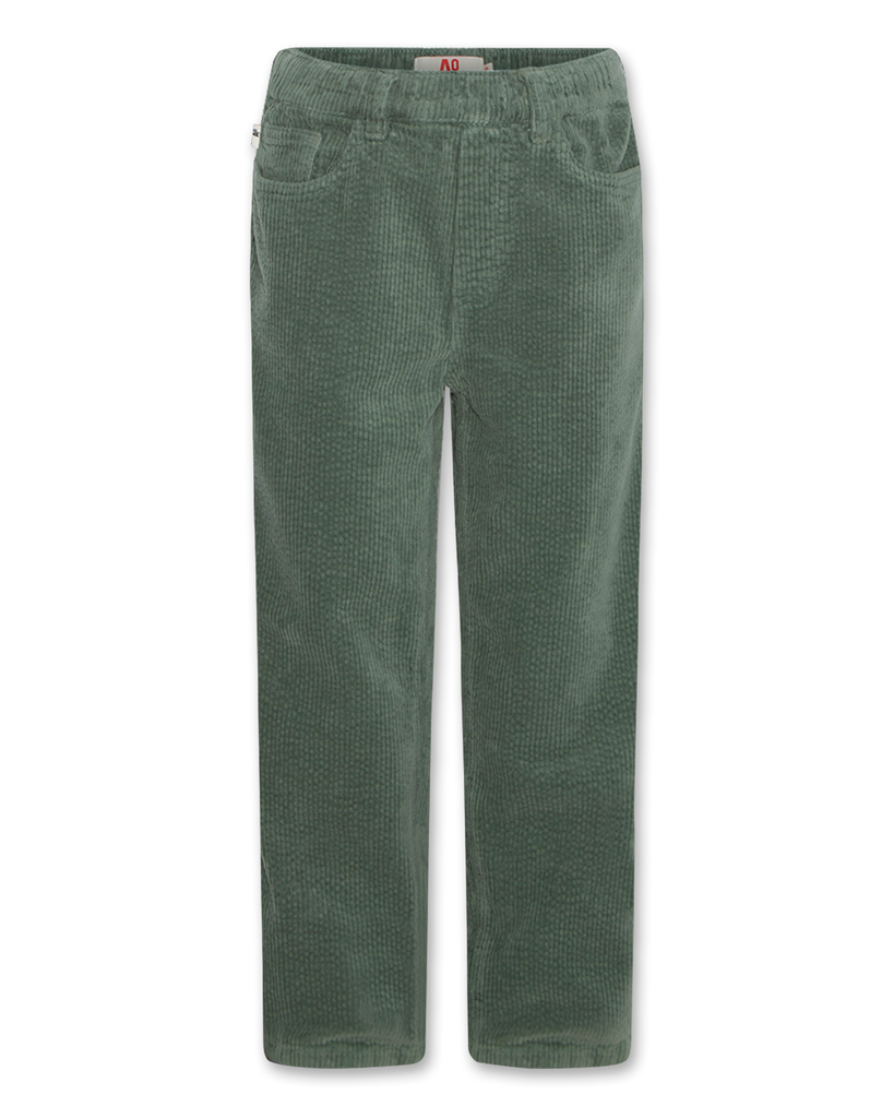 AO76 - James Ardo Broek (Forest) (4 jaar)