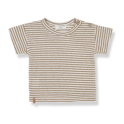 1+ In the family - Victor short sleeve t-shirt - Biscotto