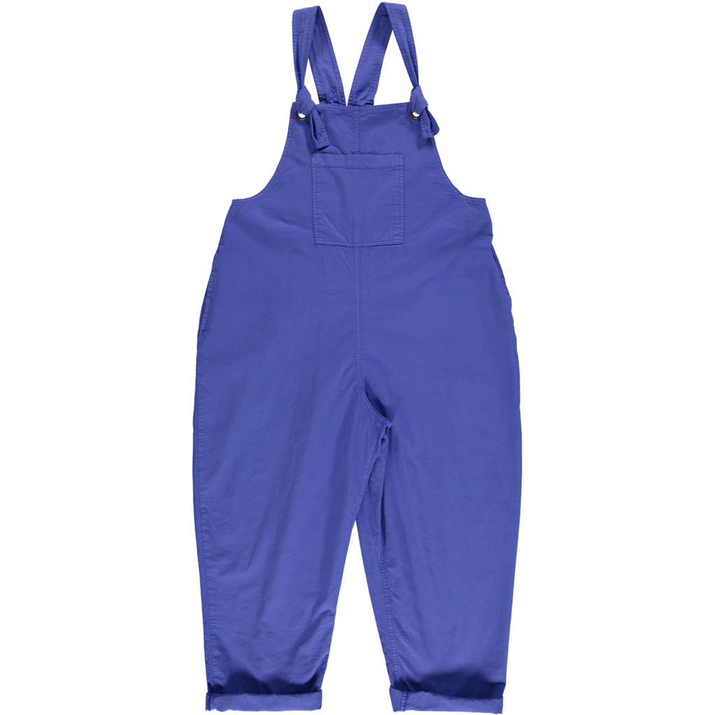 Poudre organic - Overall joubarde - Dazzling blue