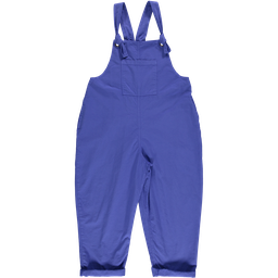 Poudre organic - Overall joubarde - Dazzling blue