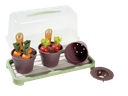 Dantoy - Green Garden Mini Serre set