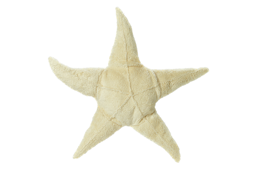 Senger Naturwelt - Small cuddly animal Starfish 