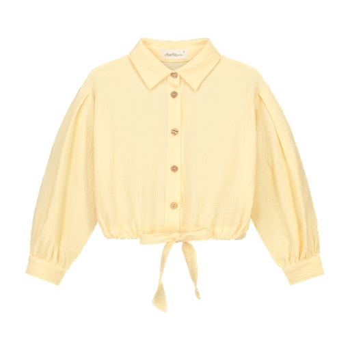 Charlie petite - Indy blouse 