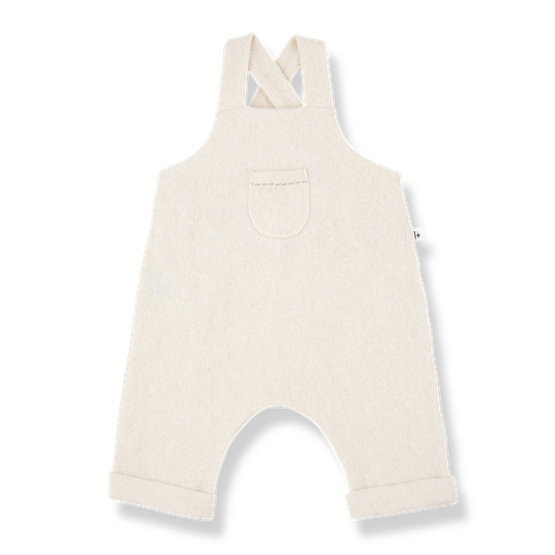 1+ In the family - Fernard overall